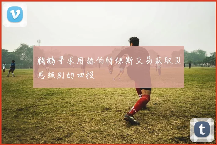 鹈鹕寻求用赫伯特琼斯交易获取贝恩级别的回报