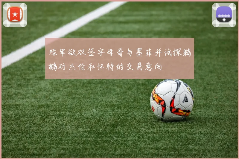 绿军欲双签字母哥与墨菲并试探鹈鹕对杰伦和怀特的交易意向
