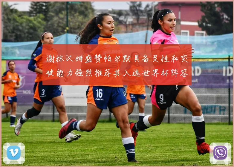 谢林汉姆盛赞帕尔默具备灵性和突破能力强烈推荐其入选世界杯阵容